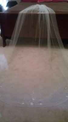 My veil is here...and  *pics added*