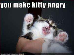 So I've been thinking!......(YIKES right?) WW Christina????