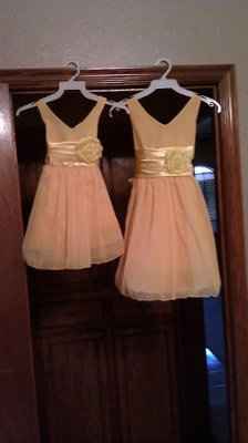 My flower girl dressess