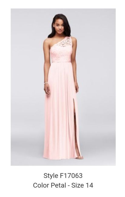 Bridesmaid dresses.. check - 4