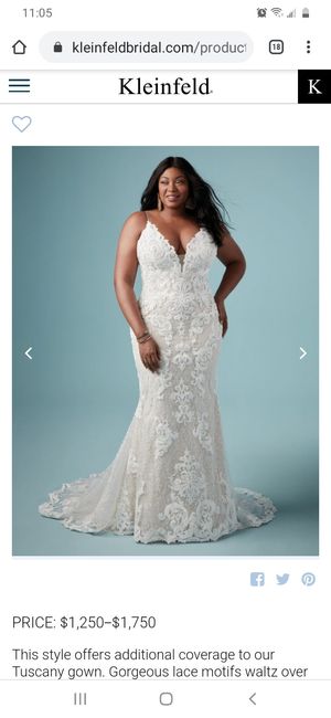 Your Dress - Internet vs. Reality - 1