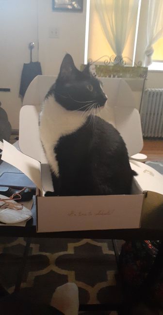 Box 2 came - 4