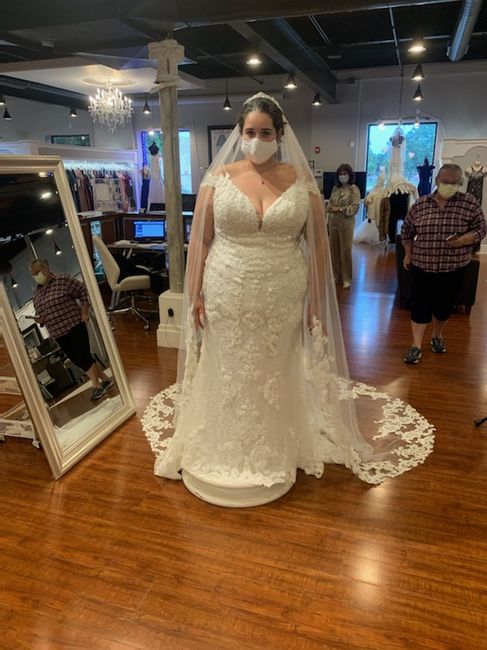 Let Me See Your Dresses!! - 1