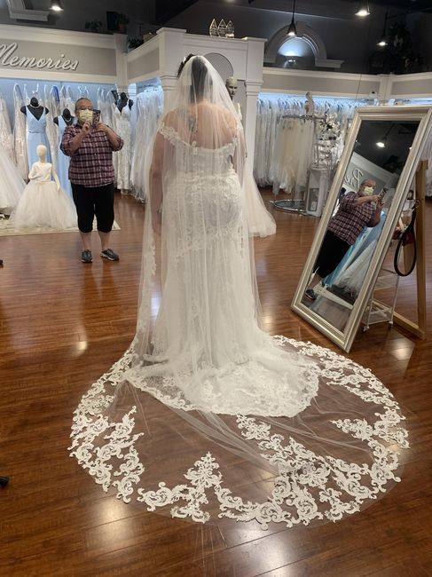 Let Me See Your Dresses!! - 2