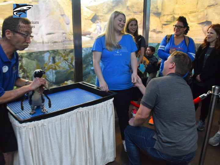 Proposal Pictures - 1