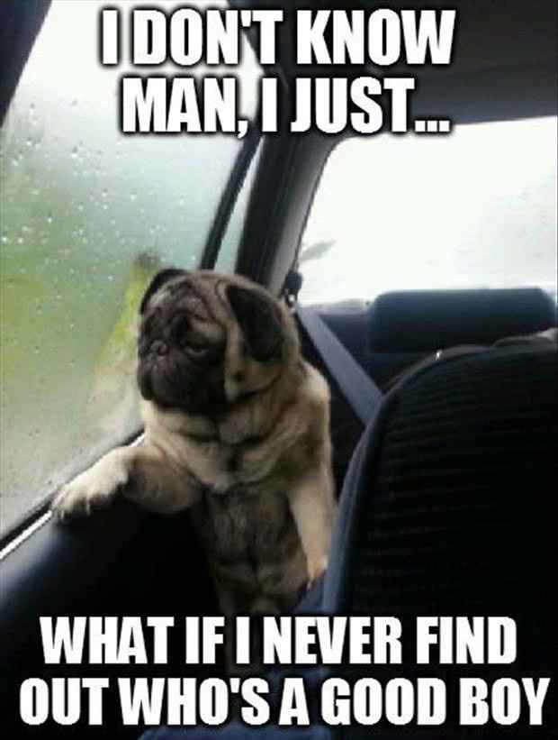 Tickled Tuesday!