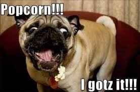 Tickled Tuesday!