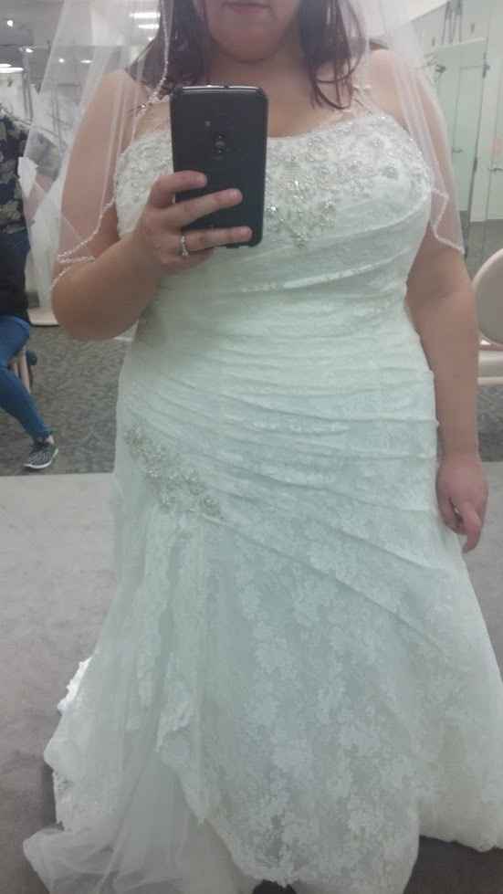 Where are my plus size brides?