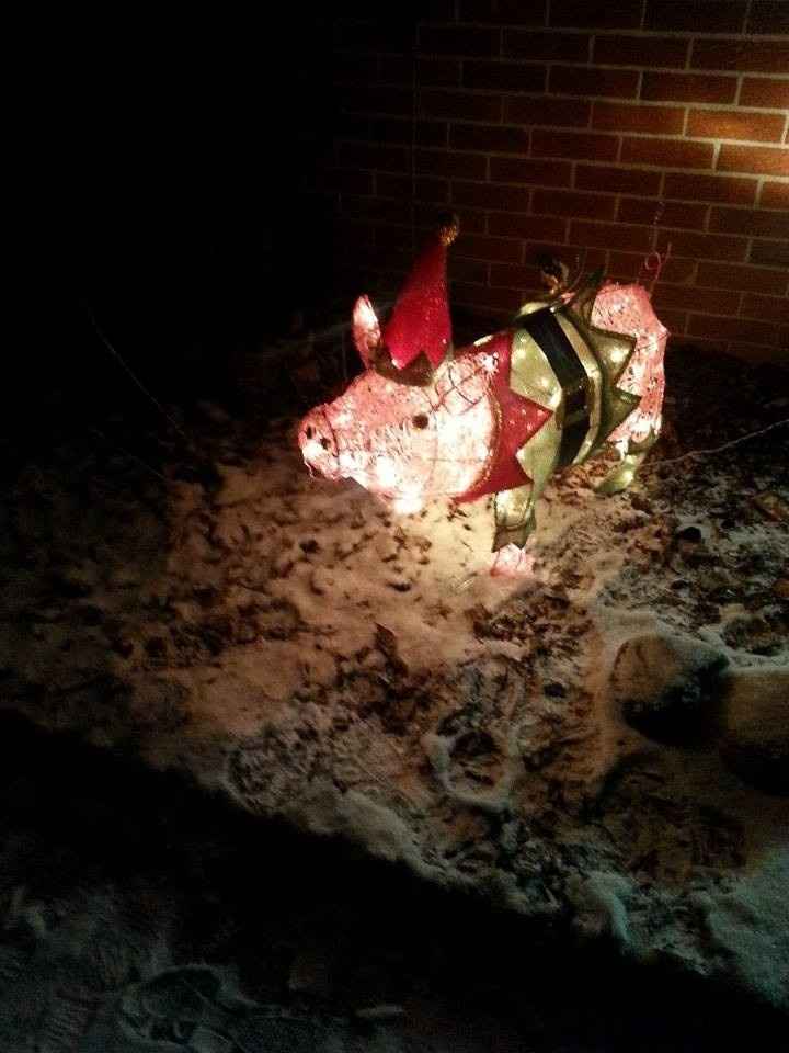 NWR: Show me your Christmas Trees, Hanukkah decor, or any other holiday stuff you put out!!