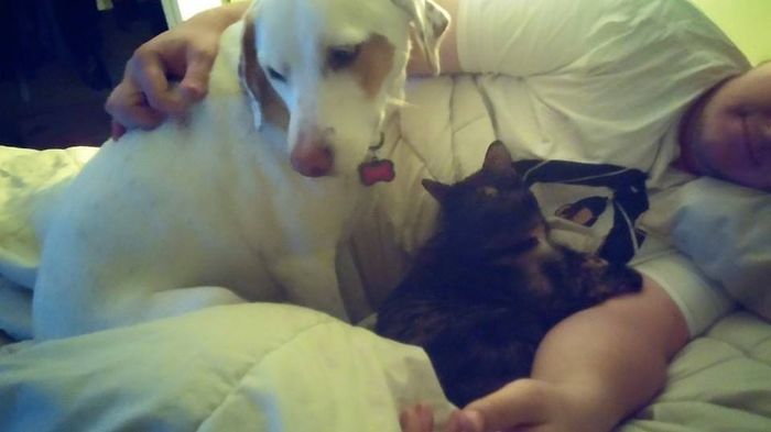 Its Fursday! Show me your furbabies! :)