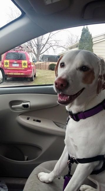 NWR: Lets talk pets.
