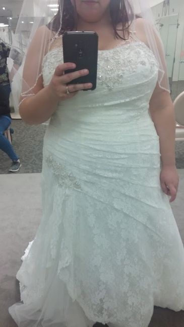 Plus Size Brides , share your dress !