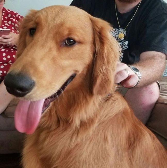 Show me those puppies!