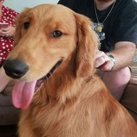 Show me those puppies!