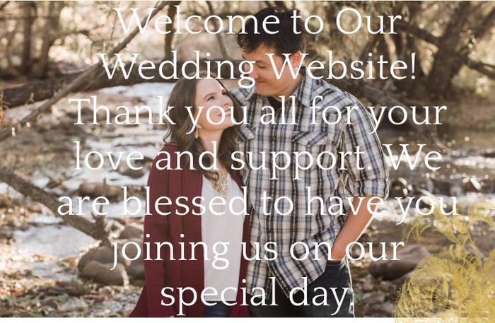 Examples of Wedding Websites 1