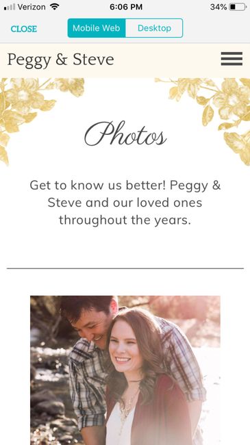 Examples of Wedding Websites 7