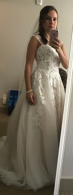 Wedding Dress Budget 6