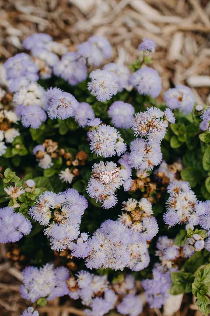 Engagement photos!! *pic heavy* - 4