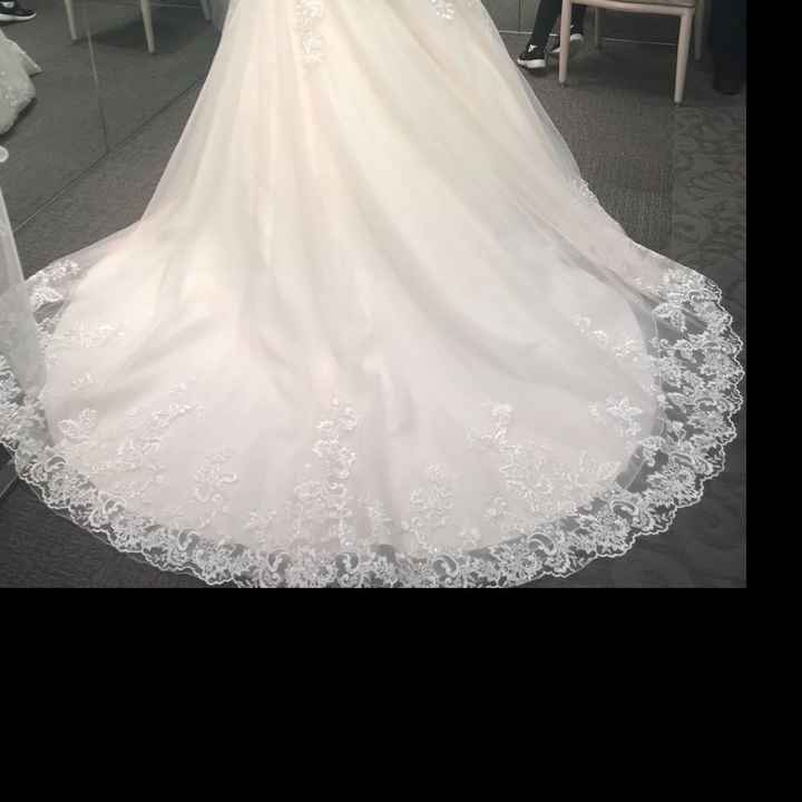 Show me you Davids Bridal Dress - 2