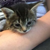 In need of cheering up...