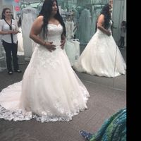 Show me you Davids Bridal Dress - 1