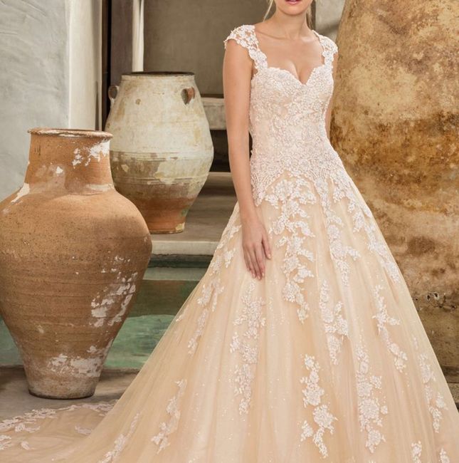 My Stupid Wedding Dream! - 1