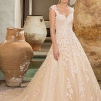 My Stupid Wedding Dream! - 1