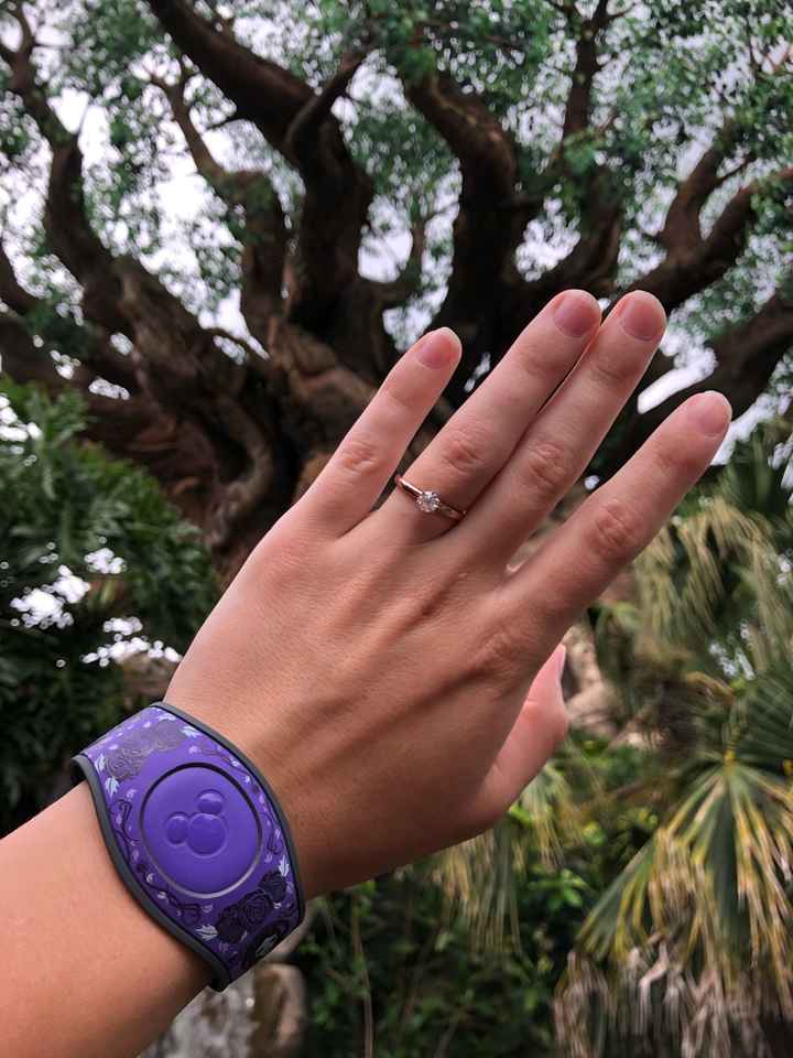 Proposal pics at Disney! - 3