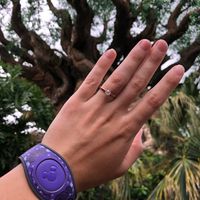 Proposal pics at Disney! - 3