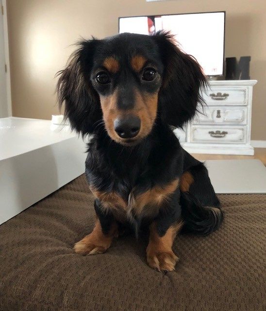 Tillie