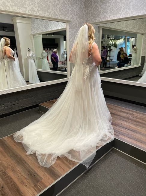 Veil and Train for Destination Beach Wedding? 2