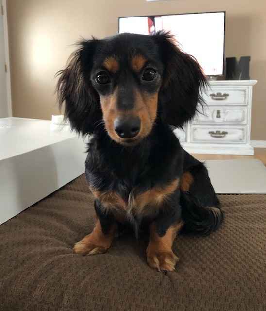 Tillie