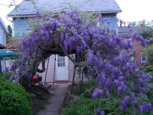 Introduction :) Hey All!