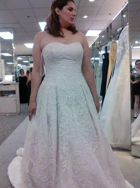 Which dress looks best??