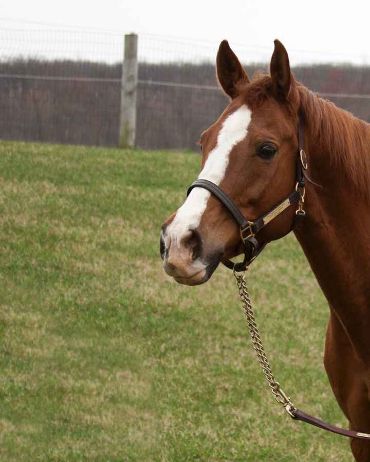 Let me see your furrybabies on the weekend....