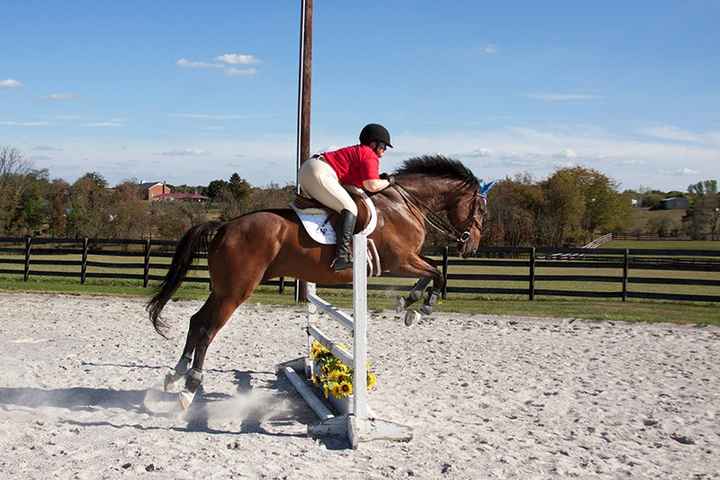 NWR-Strut your stuff!