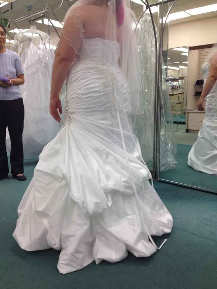 I said YES to the DRESS! Pictures!!!!!