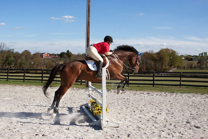 NWR-Strut your stuff!