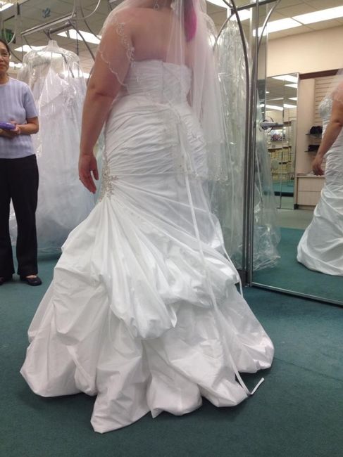 I said YES to the DRESS! Pictures!!!!!