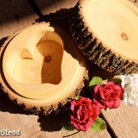 Show me your Garter and Ring Bearer 'Pillow"