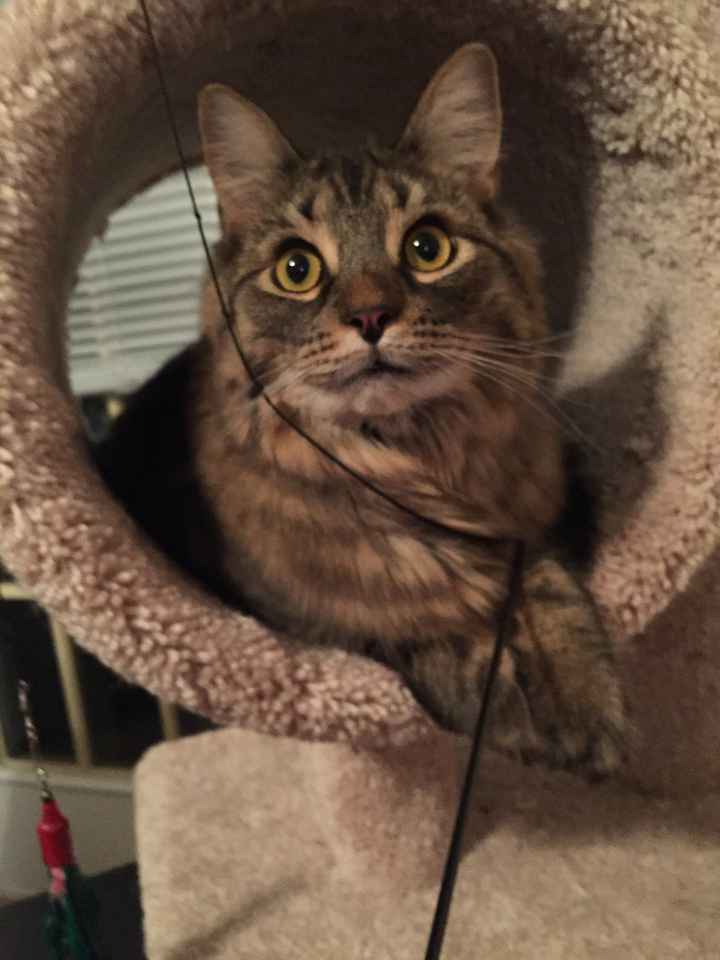 NWR: Fur-baby Fursday!