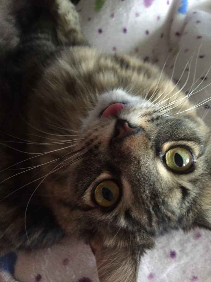 NWR: Show off your furbabies!