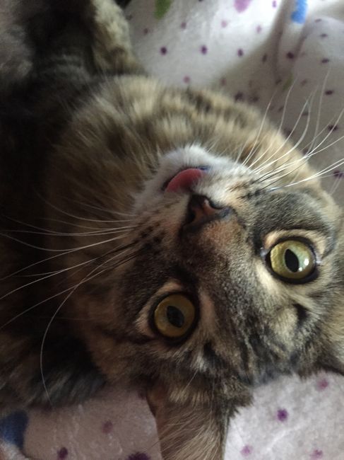 NWR: Show off your furbabies!