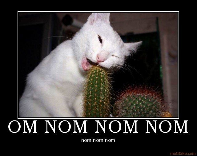 NWR.....Random Friday pics