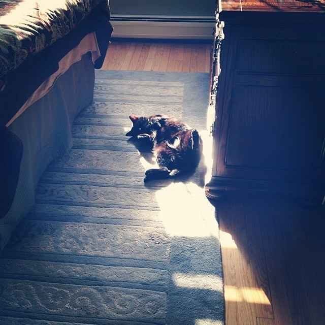 NWR- Furbaby Friday