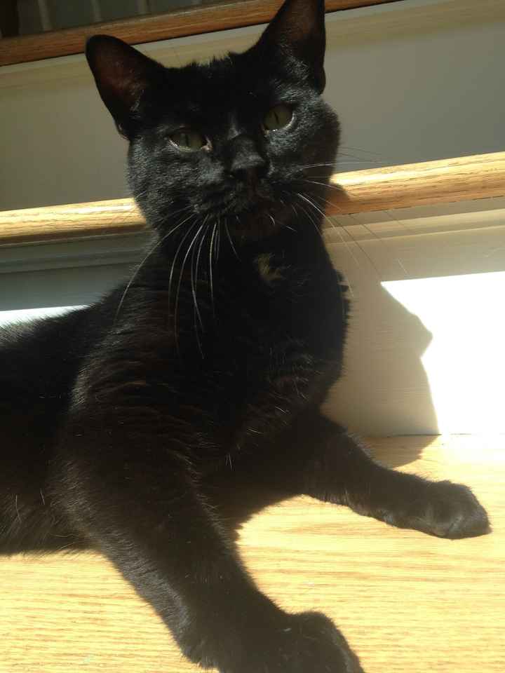 Furbaby Friday!