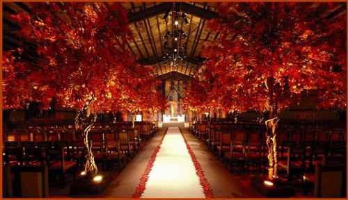 Ceremony Inspiration?