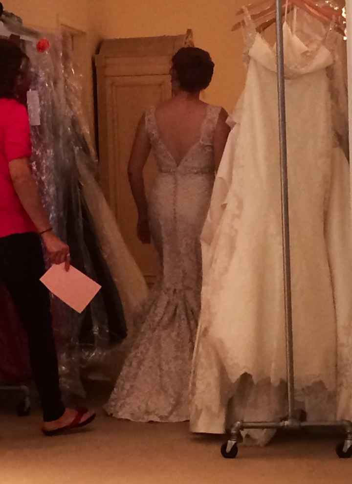 First Dress Fitting Paparazzi Moment