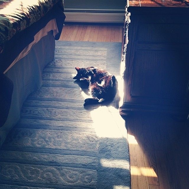 NWR- Furbaby Friday