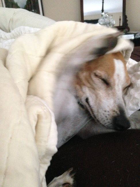 Furbaby Friday!